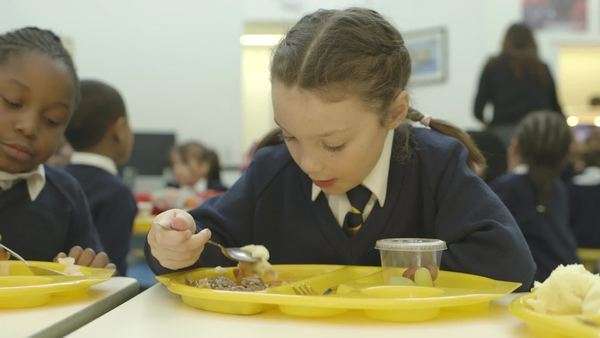 Read more about the article School catering options
