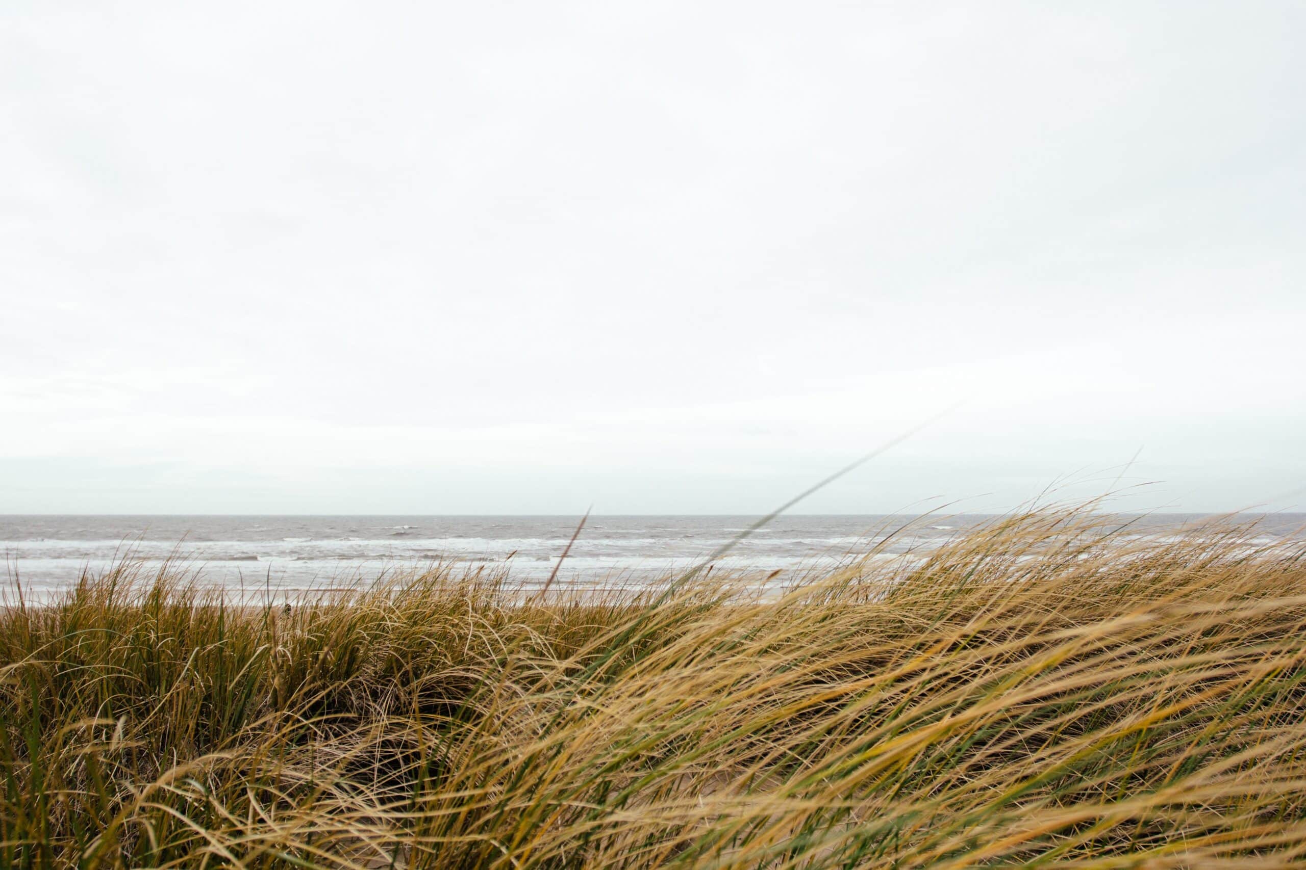 Read more about the article Who does your job when you’re on the beach?