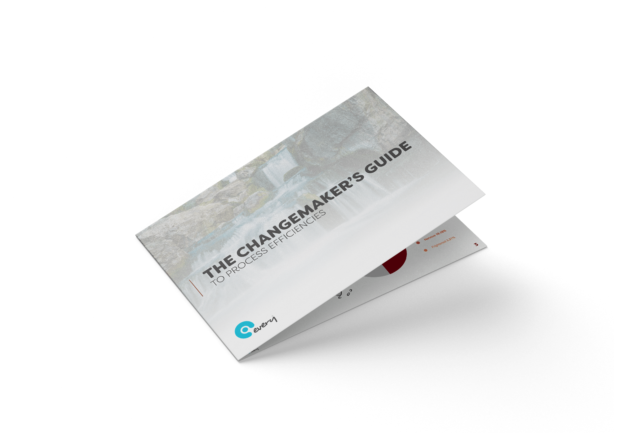 The Changemakers Guide to Process Efficiencies