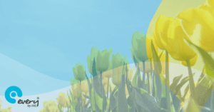 A field of daffodils. An Every HR By IRIS gradient overlays the image.
