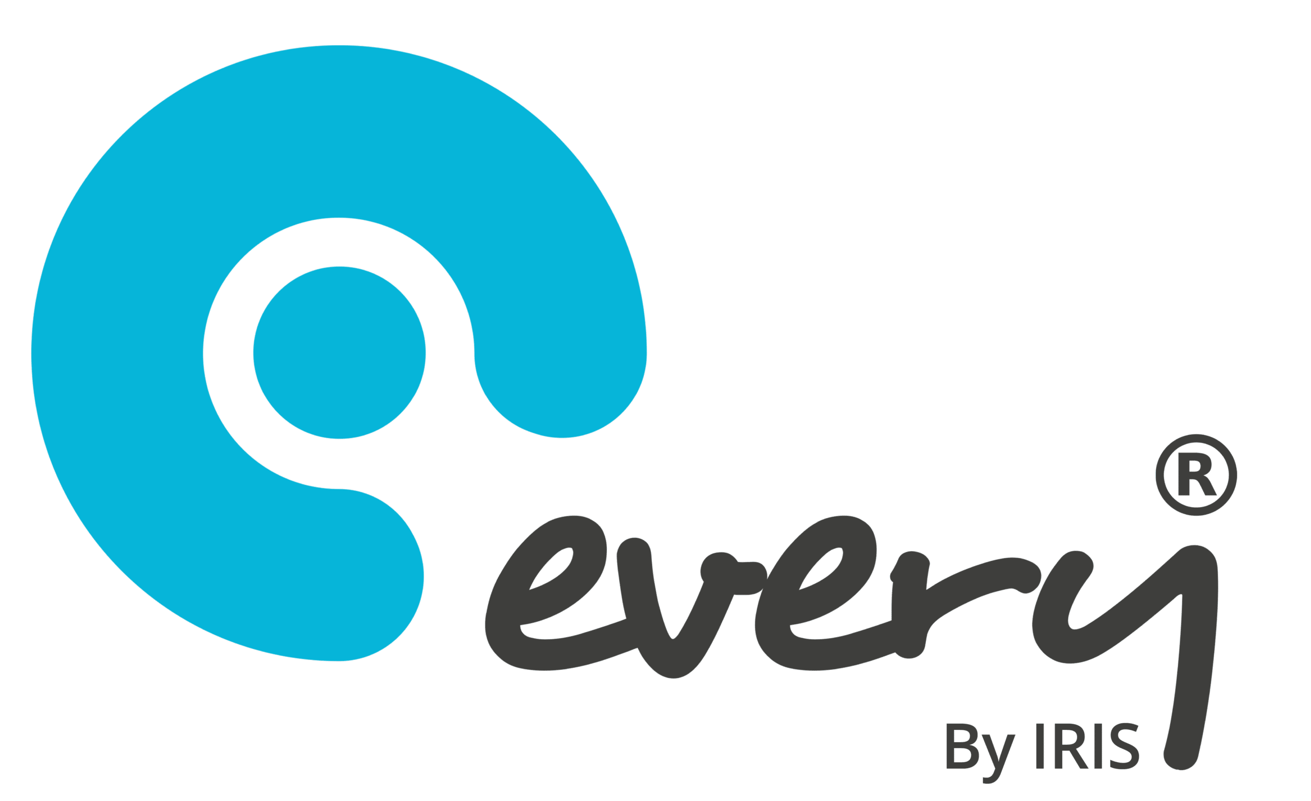 Read more about the article IRIS Software Group acquires Every