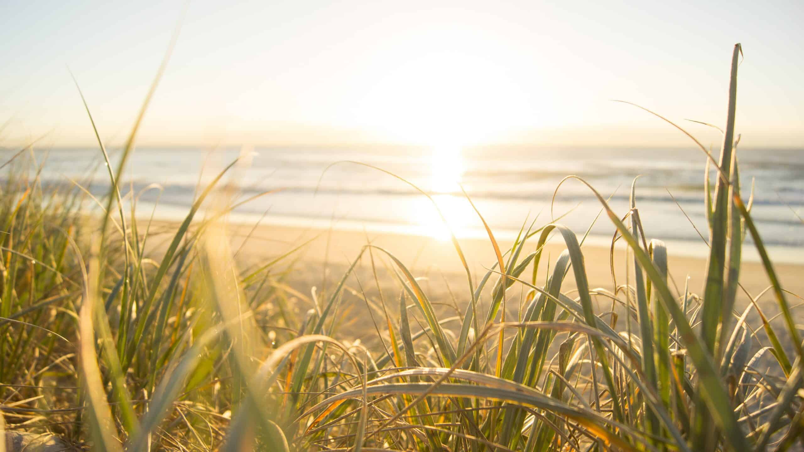 Read more about the article School business managers preparing for summer